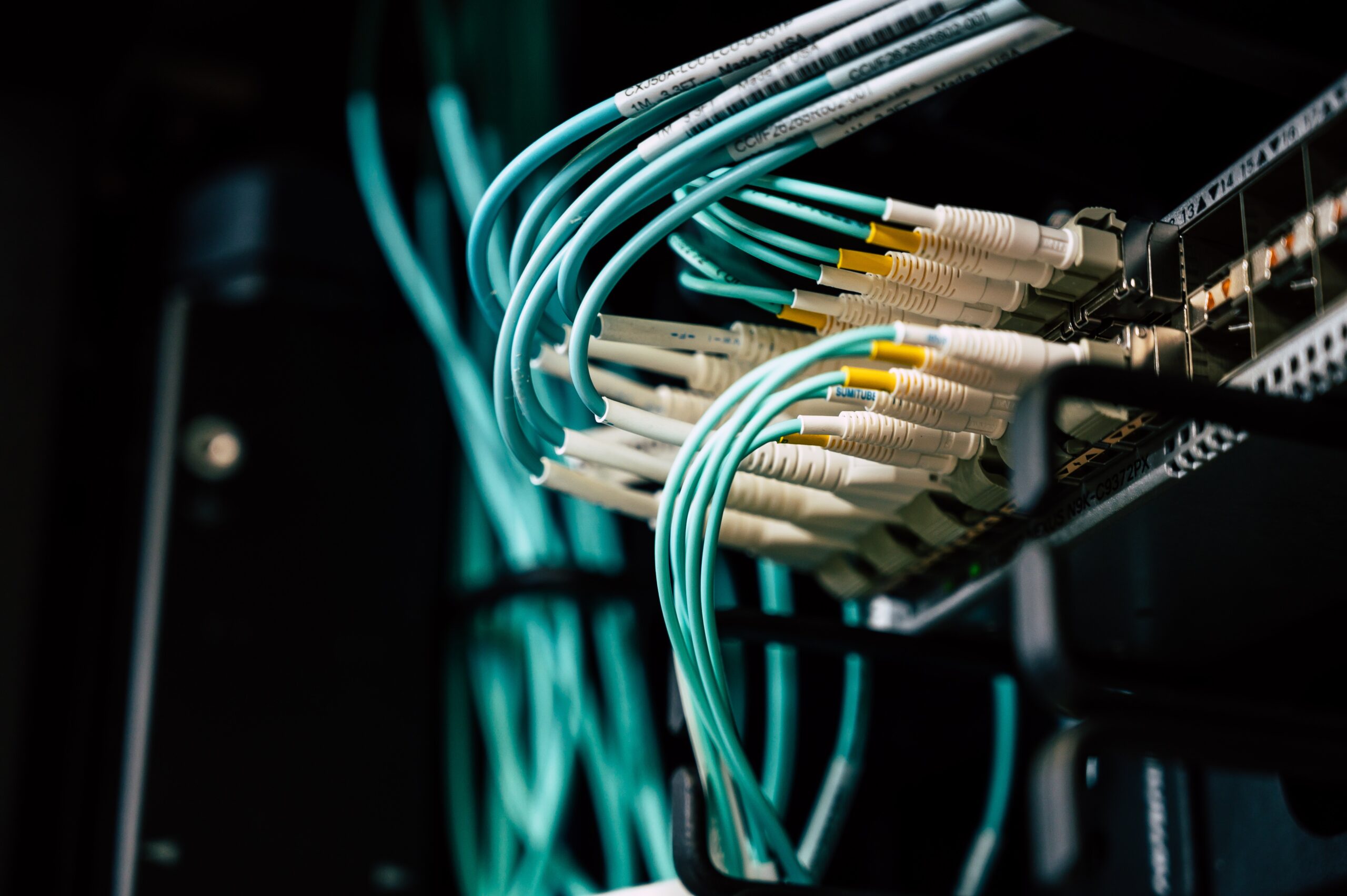 wires going into a server, where your website is stored!